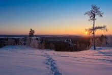 Spuren im Schnee / ***