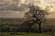 ...above the fields... / ***