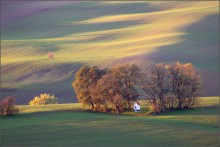 Kapelle auf dem Gebiet von Mähren / [img]http://35photo.ru/photos_series/625/625391.jpg[/img]
