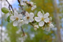 Im Frühjahr 2014. / ***
