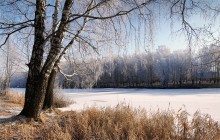 Winter-Teich / ***