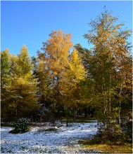 Und das auch fallen / ***