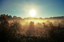 Treffen der Morgendämmerung / ***