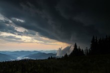 Prozession der dunklen Kräfte / ***