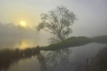 A very foggy morning. / ***