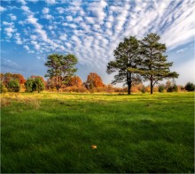 Herbstnachmittag / ***