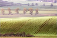 Hills mit Teppichboden ... / ***