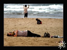 &nbsp; / Den Haag. Holland