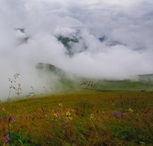 In den Morgennebel / ...