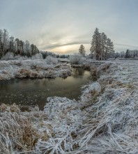 Frost auf dem Rasen. / ***