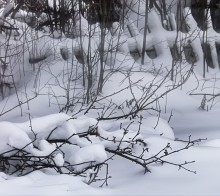 Winter, Schnee, Zaun ... / ***