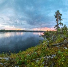 Ladoga Buchten. / ***