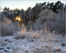 Abenddämmerung, Frost und die untergehende Sonne / ***