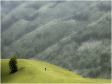 Walk above the ground / Walk above the ground