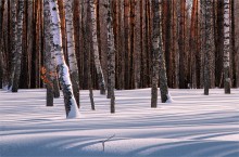 Frost und Sonne / ***