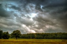 Düsteren Himmel / ***