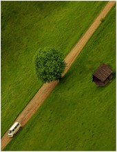 Auto, Baum und Schuppen / ***