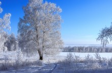 Die Umgebung Russland / ***