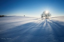 Frost und Sontse ... / ***