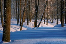 Gesäumten schnee / ***