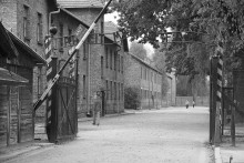 Auschwitz Birkenau / ***