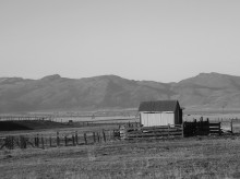 Freitag in der Toilette / ***