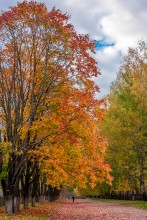 Über Herbst und Einsamkeit ... / ***