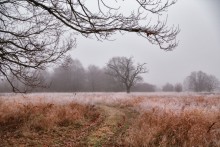 Über ruhenden Natur / http://max-helloween.livejournal.com/115203.html