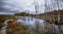 Lady Evelyn - Smoothwater / Transparent Autumn