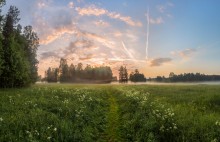 Gegen den Frühling! / ***