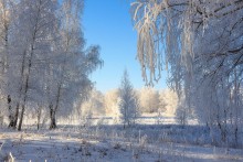 Winterwald / ***