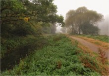 ... Misty im Oktober ... / ***