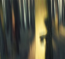 forest ghost / ***