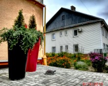 warum hetzen ** / ***