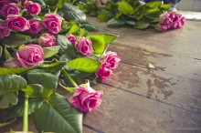 Rosen / ***