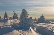 Snowy Reich ... / -----