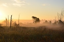 Steppe / ***