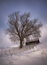 Ein Haus bauen, Pflanzen Dervo ... / ***