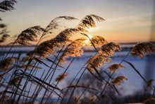 Frühlingssonnenuntergang! / ***