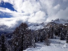 Der Himmel über den Alpen / ***