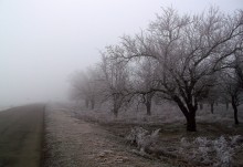 Nebel und Frost. / ***