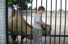  / zoo