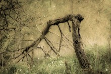 Gebrochene Zeit / ***