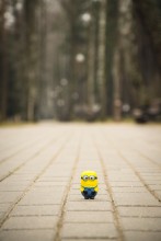 Mignon im Park. / ***