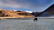 Altai Herbst / ***