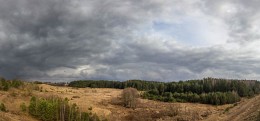 Nach einem Frühlings-regen / ***