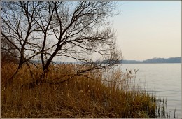 Spring Beach / ***