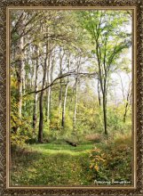 Penetration des Herbstes / ***
