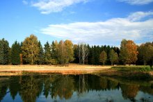 Pond. Botanischer Garten / ***