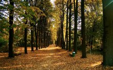 Alley 2 (Botanischer Garten) / ***